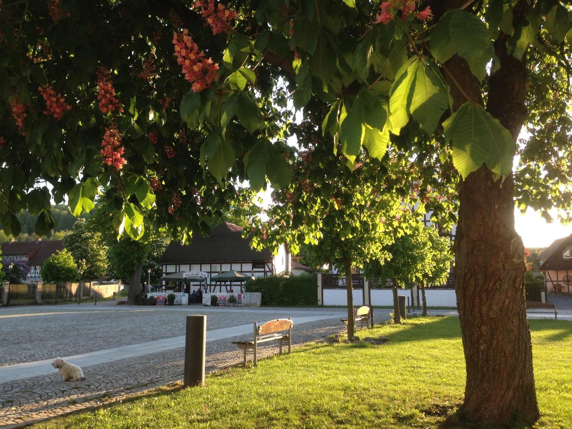 Klosterhotel Walkenried Luaran gambar